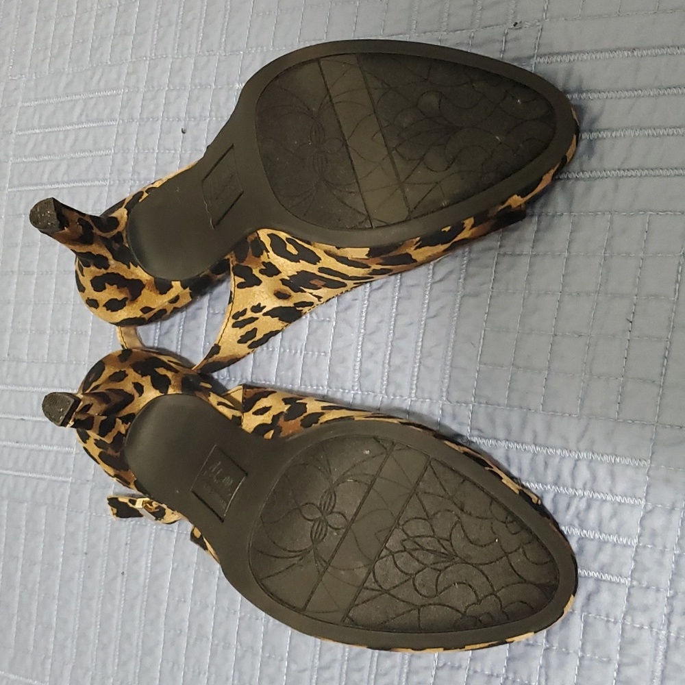 Shoe's - Picture 7 of 7